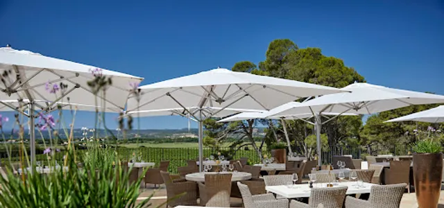 Asado - Château Capitoul