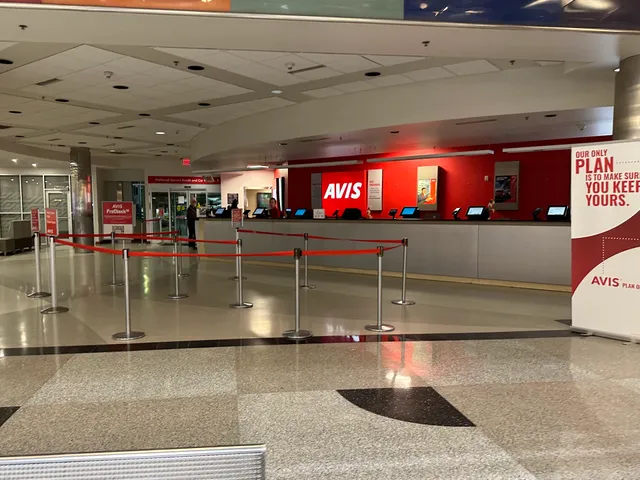 Avis Car Rental