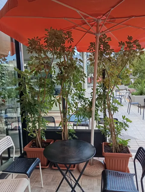 ΕΔΕΣΜΑΤΟΠΟΤΕΙΟ ΔΗΜΗΤΡΟΥΛΑ