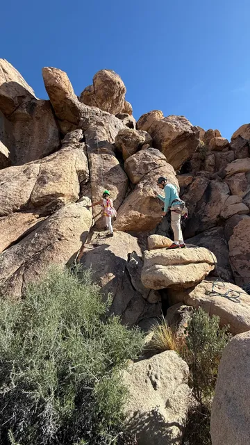 Joshua Tree Excursions