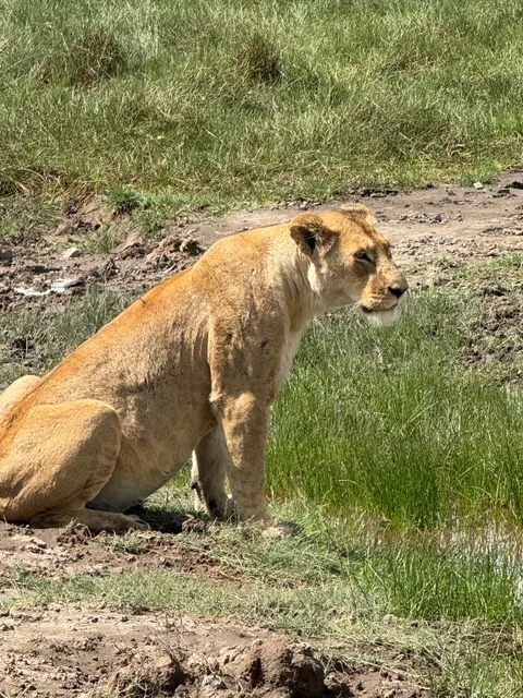 Passionate Guides Tanzania