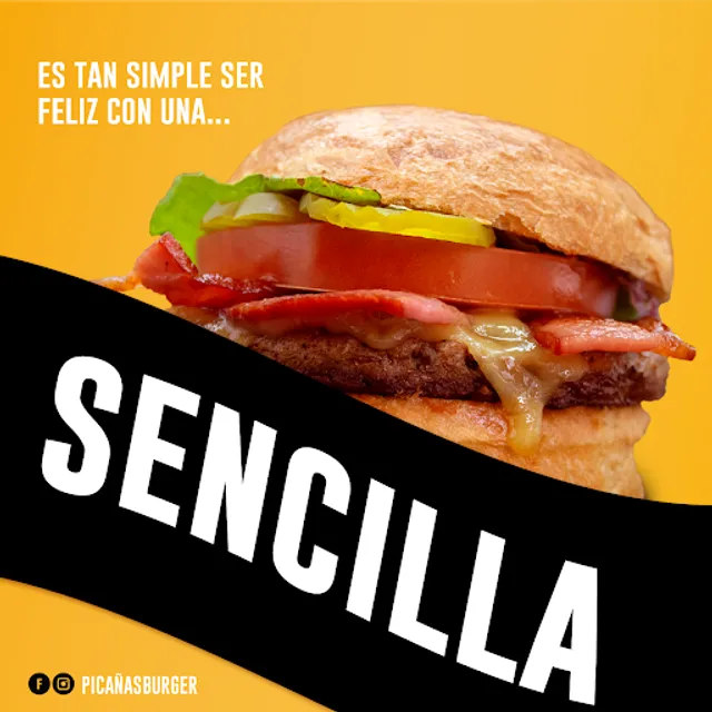 Picañas Burger Turquesa