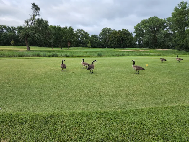 Rolling Meadows Golf Course