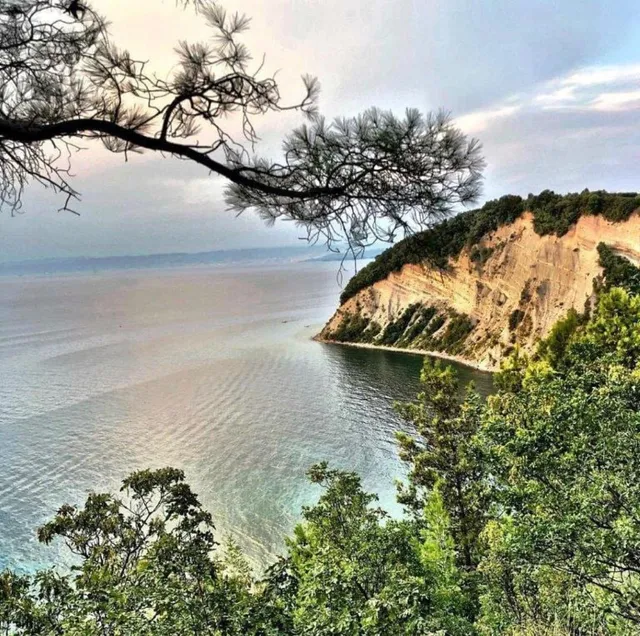 Synergy Deluxe Apartments