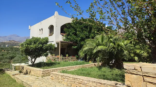 Natural Green Apartment