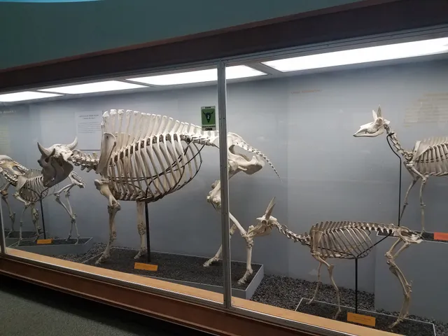 Smithsonian Libraries