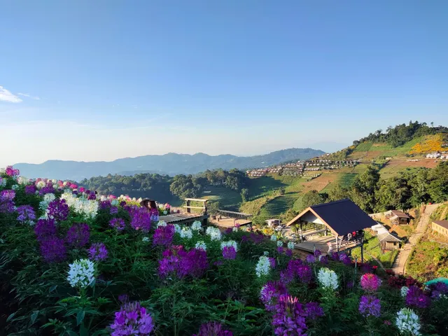 Plai Fa Strawberry Farm