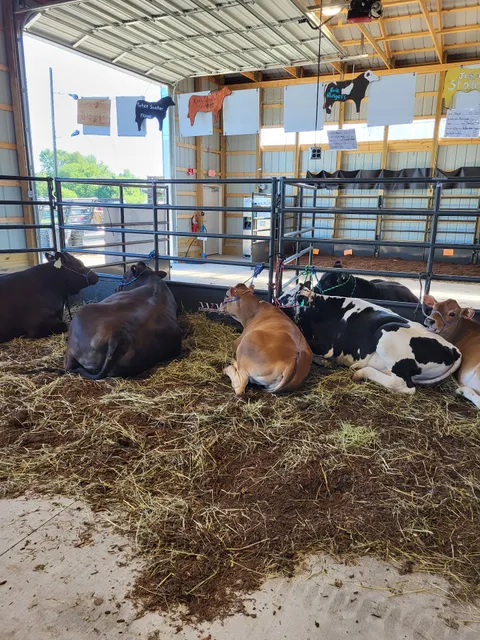 Kent County Youth Fair
