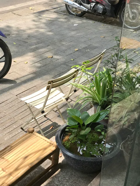 Tự Châu Veggie - Vegan Mixed Pho, Banhmi & Kombucha