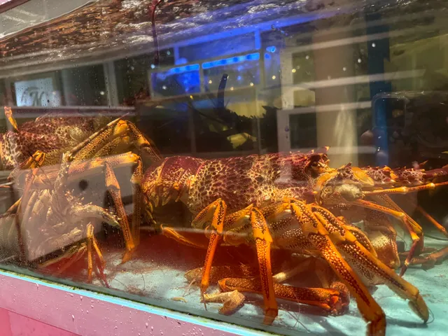 The Moon Chinese Seafood Restaurant 德月舫