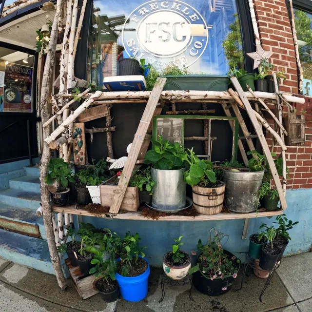 Freckle Salvage Company