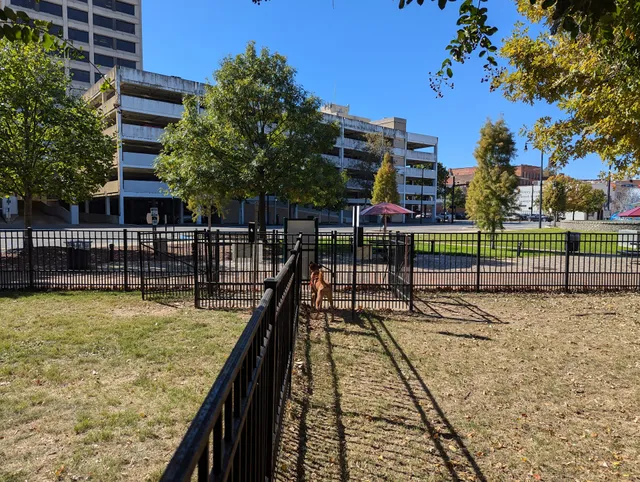 Downtown Dog Park