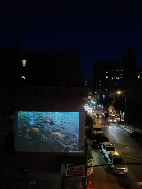 Bronx Documentary Center