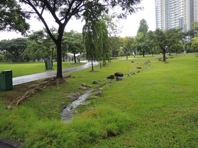 Ang Mo Kio Park - Water Pond