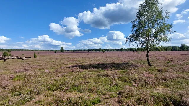 Ferienwohnung Mienert