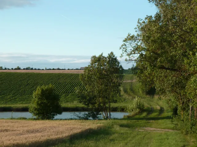 Gite Domaine de Lassalle