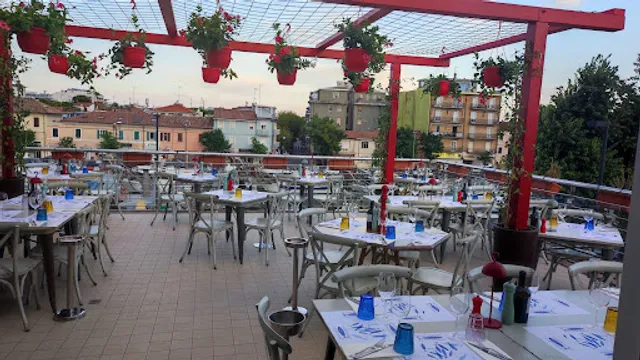 Storie di Mare e di Pesci Volare