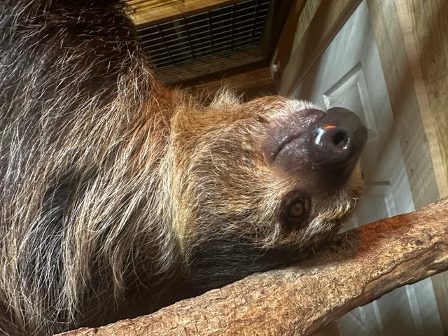 Canton Grand Safari Adventure