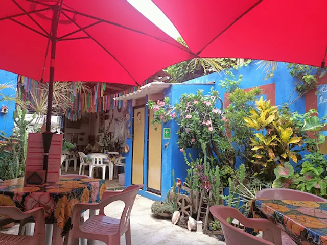 Allegro Cocina La Casona de Frida