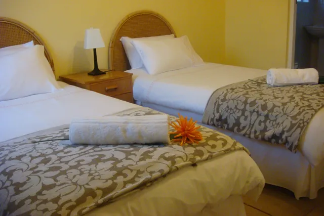 African Cycad Guest House