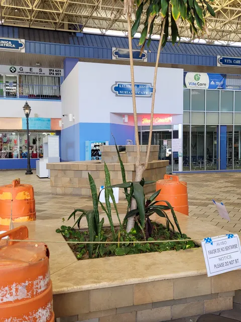 Carolina Shopping Court