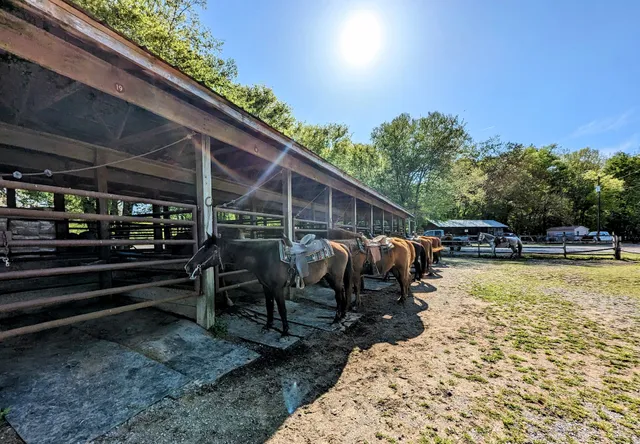 Wranglers Campground: Land Between the Lakes