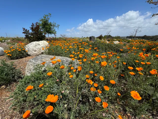 Huntington Central Park Equestrian Center
