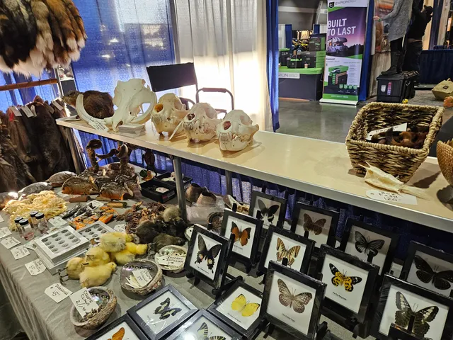 Captain Slinky Presents: Oddmall Emporium of the Weird