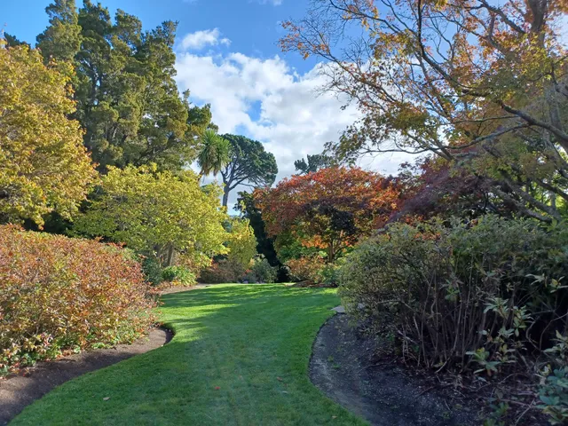 Dunedin Botanic Garden Rhododendron Dell