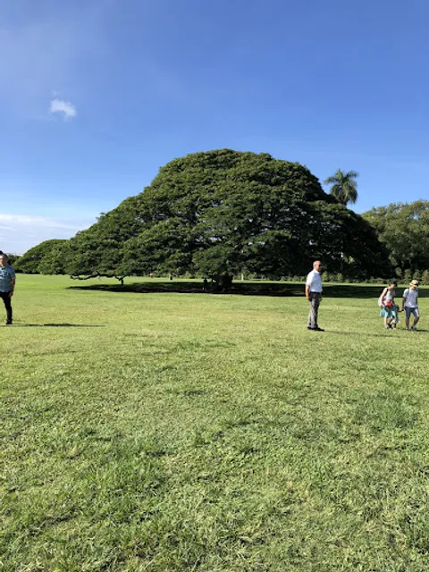 Moanalua Swimming Pool