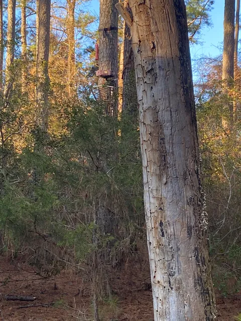 Sheep Ridge Wilderness