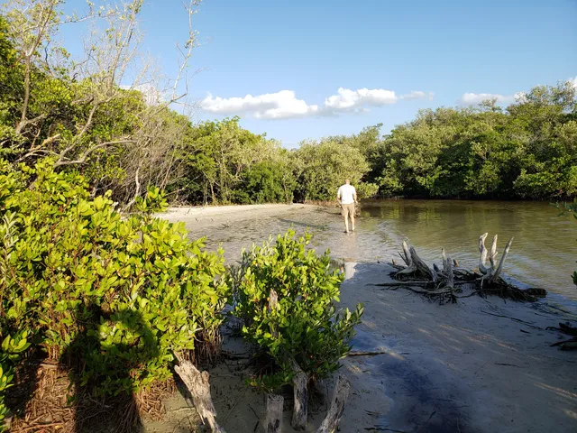Lee County Parks & Recreation Dog Beach Parking