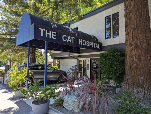 The Cat Hospital