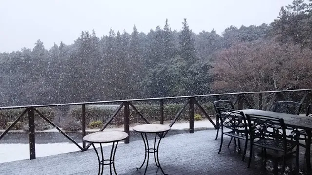 Ristorante Sakurakagami