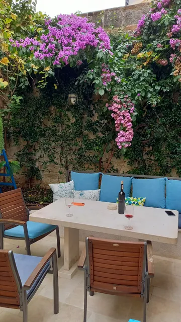 Luxury apartment Dvor