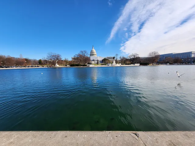 Nationals Parking Lot W
