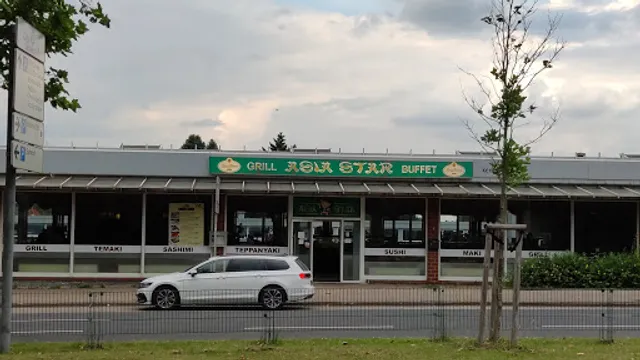 Asia Star / Salzgitter