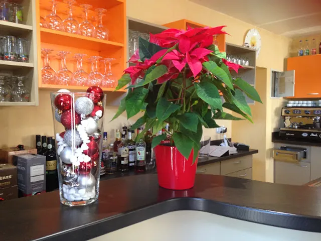 restaurant le Val'Soleil