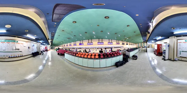 Toyama Chitetsu Golden Bowl