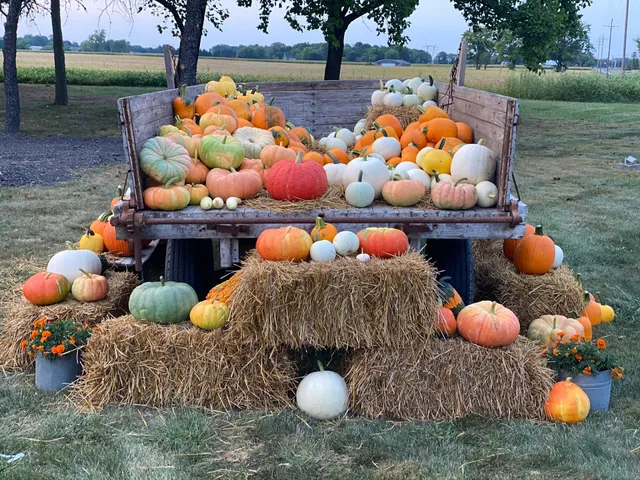 The Crabby Apple Family Orchard & Market