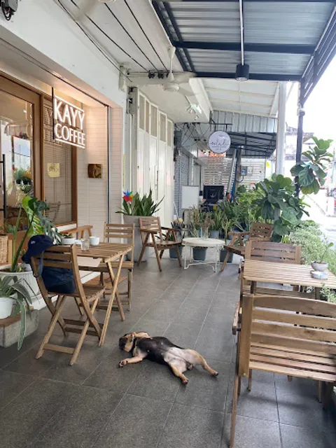 KAYY COFFEE (MATCHA & ORANGE)