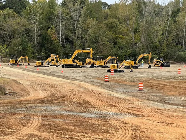 Carolina Cat - Charlotte, NC