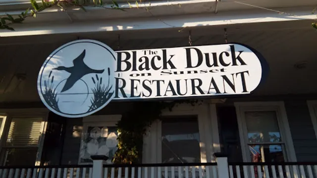 Black Duck On Sunset