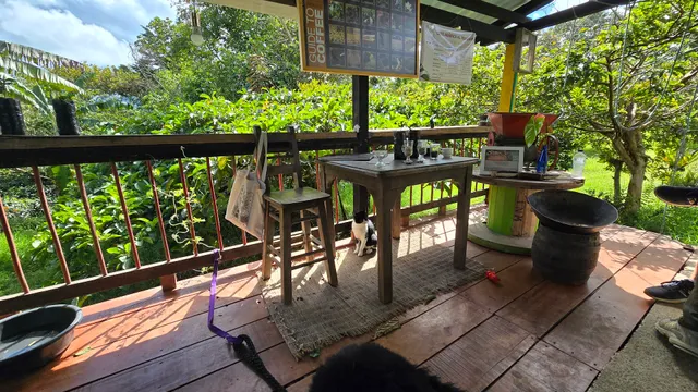 Finca Don Eduardo Coffee Tour