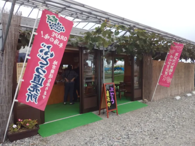 ボッサファームぶどう直売所