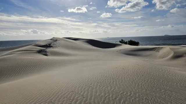 Dune di Porto Pino
