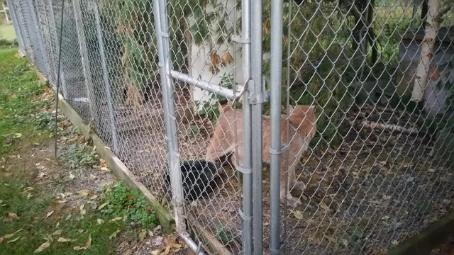 Woodlands Wildlife Refuge