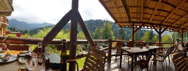 Pensiunea Vânătorul