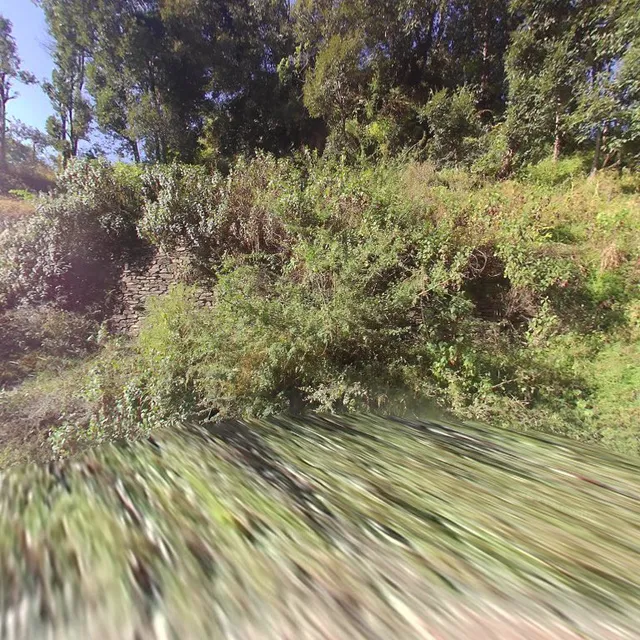 En Route Hostel-Mukteshwar