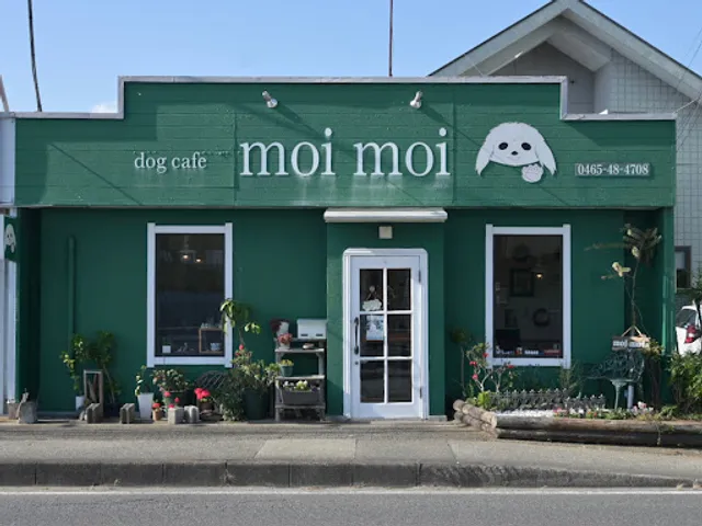 dog cafe moi moi
